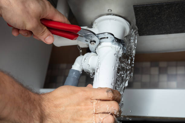 Best Mold removal after water damage  in Park Hills, MO