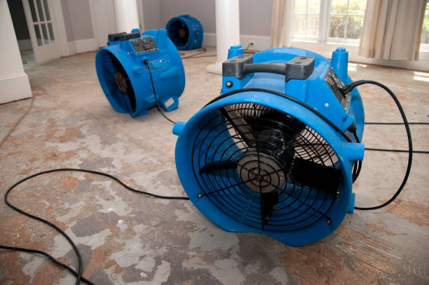 Best Ceiling water damage repair  in Park Hills, MO